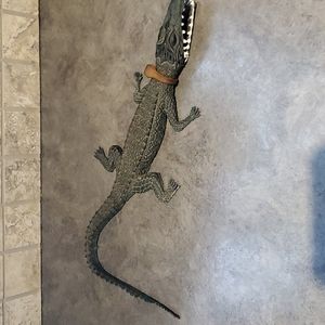 Alligator 15" Rubber Toy Figure